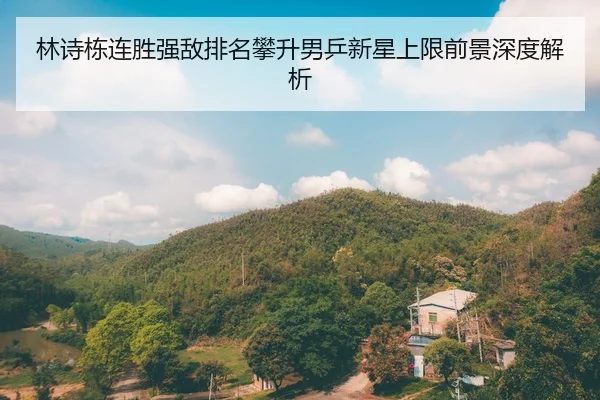 林诗栋连胜强敌排名攀升男乒新星上限前景深度解析